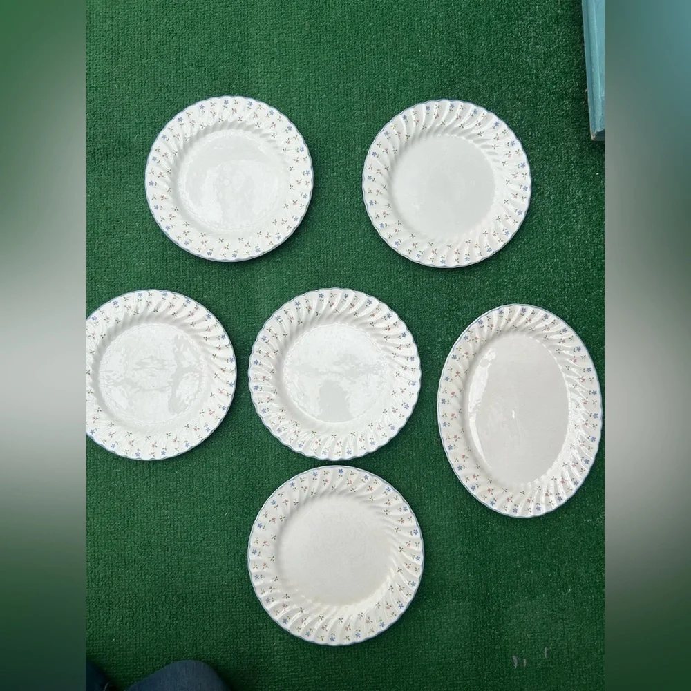 Johnson Brothers Melody Ceramic Plate 22 pieces!!
Made in England! - Picture 6 of 6